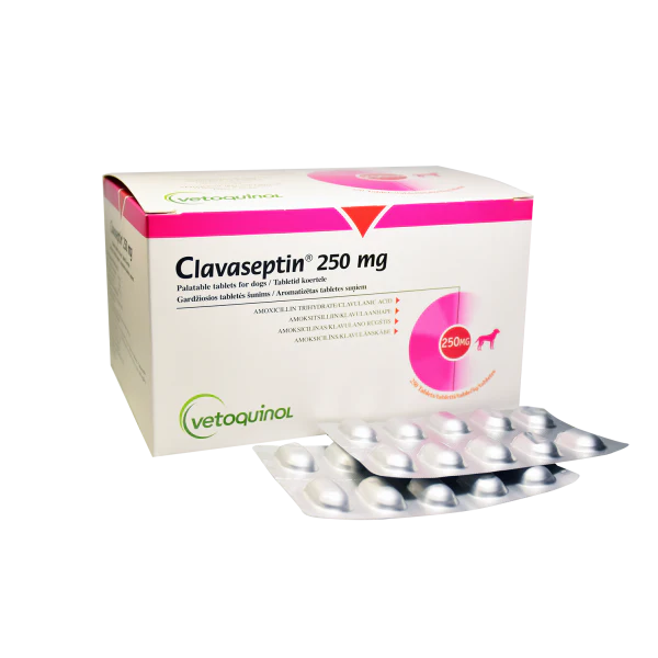 CLAVASEPTIN 250 mg - 200 mg amoxicillin / 50 mg clavulanic acid - 10 tablets (synulox) for DOG & CAT