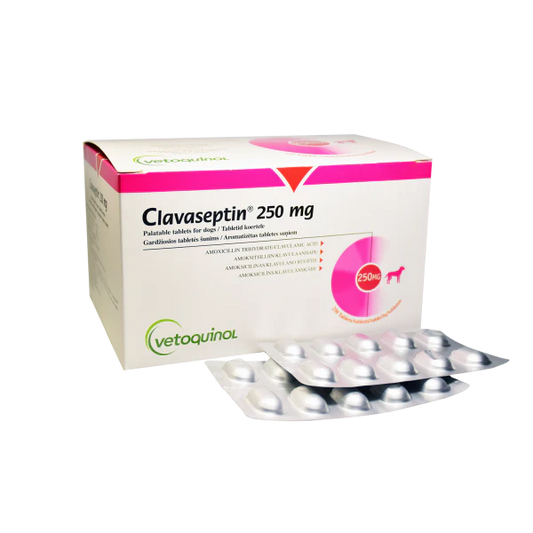 CLAVASEPTIN 250 mg - 200 mg amoxicillin / 50 mg clavulanic acid - 10 tablets (synulox) for DOG & CAT