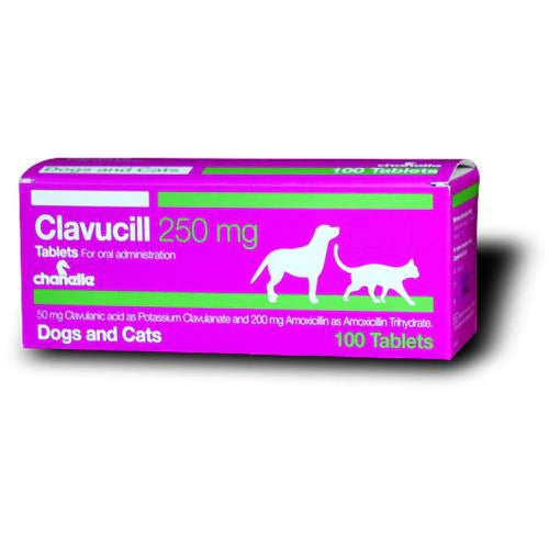 CLAVUCILL 250 mg - 200 mg amoxicillin / 50 mg clavulanic acid - 10 tablets (synulox) for DOG & CAT