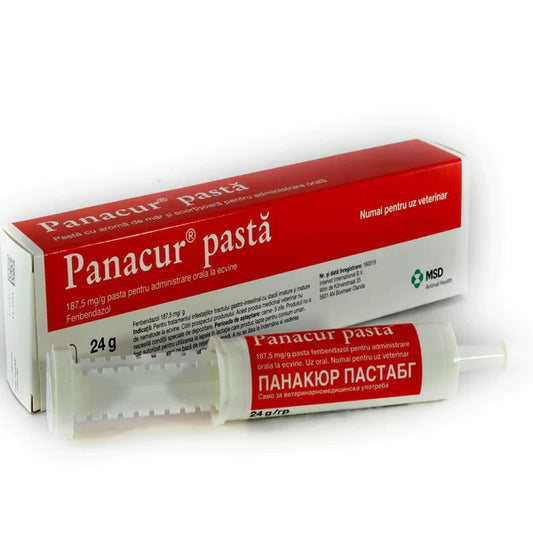 PANACUR Paste 24g Sverminazione FENBENDAZOLE Vermifugo soluzione orale CAVALLI